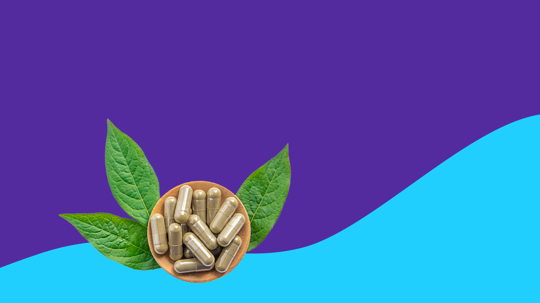 Berberine Safety Profile: Drug Interactions, Dosing Risks, and What Your Labs Should Show